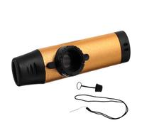 TOGEVAL Kazoo Métal Professionnel Doré Portable pour Débutants et Musiciens Instrument de Musique Léger et Compact pour Scène Fête et Accompagnement Guitare ou Ukulélé