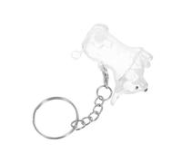 TOGEVAL Porte-clés Boîte Transparente Plastique pour Poils de Chien Corgi Conserve Souvenir Stable et Portable pour Collection de Poils Animaux Sentimental pour Propriétaires Animaux