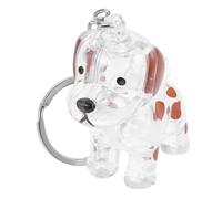 TOGEVAL Porte-clés Commémoratif pour Animaux de Compagnie Transparent, Boîte à Souvenirs en Poils D’Animaux Compact, Accessoire Décoratif Léger pour Chien, Souvenir Personnel, Présent Sentimental