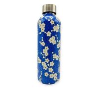 Tognana Japan Collection Bouteille d'eau 500cc Acier Inoxydable Bleu