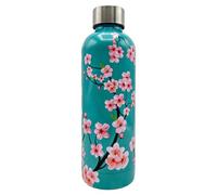 Tognana Japan Collection Bouteille d'eau 500cc en acier inoxydable Vert d'eau