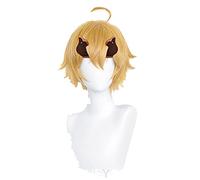 TOHMA Cosplay Perruque Jeu Genshin Impact Tohma Gold Poney Lating The Hair Synthétique Hair Halloween Party Play Wigs + Perruque Cap