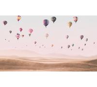 Toile Ballons Ciel Bleu Turquoise Rose 70x50 DD123031 Toile sur cimaise