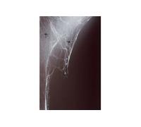 Toile d'araignée blanche 500g Halloween taille unique