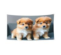 Toile de fond à suspendre avec motif chiots de Poméranie et point 1 pour fête, décoration intérieure et extérieure pour événements festifs