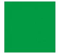 Toile de fond Bresser BG-6X6-CK 6,0x6,0 mètres chromakey vert