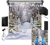 Toile de fond de scène hivernale au pays des merveilles 5x7FT (1,5 x 2,1 m), flocon de neige et forêt d'hiver, fond pour photographie, arbre de Noël, décorations de fête de Noël enneigées, fournitures