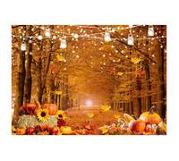 Toile de fond - GIGICIAL - Citrouille d'automne - Polyester - Multicolore - 150x100cm à 210x180cm