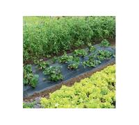 Toile de paillage tissée Polypropylène 1.50m x 5m