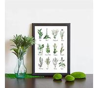 Toile de peinture Tableau botanique affiche d'art mural imprime herbes et épices photo herbier affiche moderne salon décoration de la maison Sans cadre