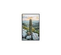 Décoration murale impression sur étoile avec cadre cactus A Mauro Ferretti Laccata Multicolore 60x4x90 cm