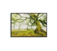 Mauro Ferretti – Toile décorative avec cadre Forest – 90 x 4 x 60 cm