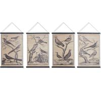 Toile DKD Home Decor oiseaux 60 x 2 x 90 cm Cottage (4 pièces)