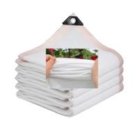 Toile d'ombrage rectangulaire blanche - 2 x 5 m, 5 x 8 m, 8 x 10 m avec œillets, protection UV 85 % pour plantes de jardin, pergola, voiture - Filet solaire rectangulaire