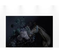 Toile Fleurs Cheval Bleu Noir Gris 90x60 DD120391 Toile sur cimaise