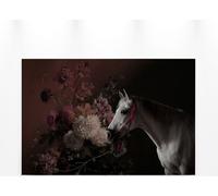 Toile Fleurs Cheval Noir Rouge Blanc 90x60 DD120390 Toile sur cimaise