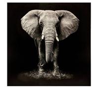 Toile imprimée éléphant 100x100cm - Atmosphera createur d'interieur