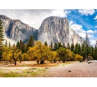 Toile murale 100 x 70 cm : Yosemite National Park Valley at Cloudy Autumn Morning Low Clouds Lay in the valley California USA (82600301)
