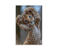 Toile murale 50,8 x 76,2 cm - Un bébé lion à écailles d'or aux yeux bleus levant ses pattes au-dessus de sa tête - Peintures de décoration d'intérieur pour la maison, la chambre à coucher (sans cadre)