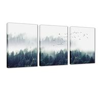 Toile murale encadrée de paysage forestier - Peinture encadrée de paysage naturel de haute montagne brumeuse - Poster pour la maison, le bureau, la chambre à coucher, le salon, 30,5 x 40,6 cm, prête à