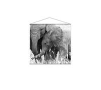 - Toile murale imprimée éléphant - 150 x 150 cm - Noir et blanc - Panorama