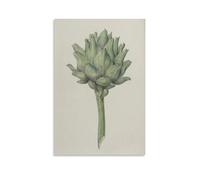 Toile murale vintage d'artichaut vert botanique vert - Affiche d'œuvre d'art pour salon, chambre à coucher, salle de bain, bureau - 50 x 75 cm