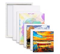 Toile Peinture,Ensemble de 8 Cadres de Panneau de Canvas pré-étirés,40x30,30x25,20x20,15x15cm,100% Pur Coton Toile à Peindre Canvas Peinture Acrylique Art Canvas Blank Canvas Toiles à Peindre Lot.