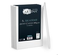 Artina Set de 5 Canvas Toile Peinture 20x30 cm - Tableau Peinture Châssis Entoilés en Bois FSC© - Tableau Toile a Peindre Blanche 100% Coton 280g/m² - Toiles Stable Petite Toile Peinture - Akademie