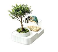 Toilettes d'oiseaux Grande Capacité Lavable Antidérapant et Stable | Cintre, support et station d'urinoir pour oiseaux sur bureau, table, bureau, maison, balcon, patio et salon