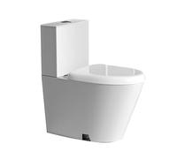 Toilettes en acier inoxydable, double siphon à chasse d'eau, haute efficacité, anti-gel et résistant aux fissures, idéal pour les salles de bains commerciales et publiques