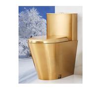 Toilettes monobloc haute efficacité, économie d'eau, anti-gel et fissures, anti-taches, double siphon de 3/6 L, pour les maisons, les rails à grande vitesse, les métros, les camions (noir, drainage