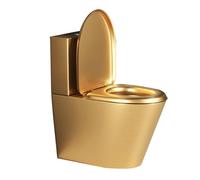Toilettes monobloc haute efficacité, économie d'eau, double chasse d'eau avec siège à fermeture douce et hauteur confortable, siphon, acier inoxydable 304