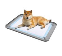Toilettes pour Chien d'intérieur Pratiques Bords Hauts en Silicone