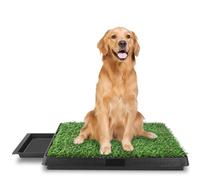 Toilettes pour Chiens Toilettes idéales pour Les Chiots et Les Chiens Plus âgés, Utilisation intérieure et extérieure Taille : 63 x 50 x 7 cm