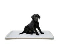 Toilettes pour chiots Kerbl Beige 60x90 cm