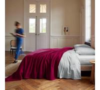TOISON D'OR - Couverture Teddy - Rose Framboise 240x300 cm | 100% polyester - Toucher Peluche & Douceur Ultra Cocooning - Finition Coins Capuchon - Ne bouloche pas - Lavable 40°C