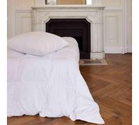 TOISON D'OR - Couette Daisy chaude (300g/m²) - 220x240cm - Plumette et duvet - 2 personnes - Blanc Autre