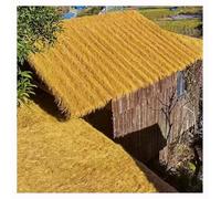 Toit de Chaume Artificiel Mexicain, Toit D'herbe De Chaume Synthétique, Ignifuge, Résistant au Vieillissement, pour Clôture de Jardin de Fête de Cabane de Bar Tiki, Hut Patio Pool Beach (Size:1x10m)