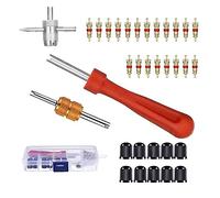 Tokaneit Extracteur de Valve de Pneu,Outil de Réparation de Valve de Pneu,Tire Repair Kit,Kit de Dépose de Valve de Pneu,Outil de Réparation de Soupape,Outil de Réparation D'obus de Soupape 33 Pcs