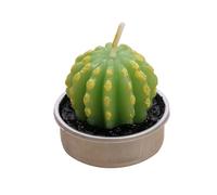 TOKIDNY Bougie Végétale Simulée en Paraffine et Aluminium Cactus Verte, Bougie Chauffe-plat Parfumée sans Fumée pour Anniversaire Décoration Maison Élégante