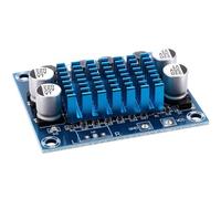 TOKIDNY Module Amplificateur Puissance Stéréo Double Canal Platine Audio Numérique avec Dissipateur Thermique Compatible Alimentation pour Clair et Dynamique