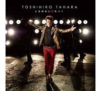 Tokimeki Ni Uso Wo Tsuku [Import allemand]