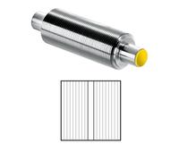 Toko Nordic Base Structure Roller warm/yellow
