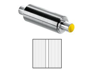 Toko Nordic Base Structure Roller warm/yellow