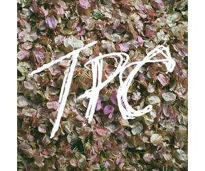 Tokyo police club - Tpc