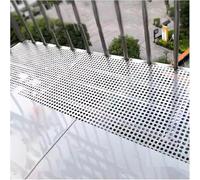 Tôle perforée en acier inoxydable 304, grille décorative, diamètre du trou: 10mm, plaque perforée antichute(50x100 cm)