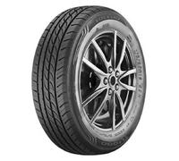 Toledo TL 1000 205/60R15 91V E B 71 2