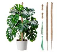 Tolesum 2 Pièces Tuteur Plante Grimpante Coco 60cm, Bâton de Mousse Pliable et Flexible avec Corde et Attaches pour Monstera, Pothos, Philodendron