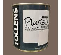 Tollens Peinture acrylique multi-usages 'Couleur Plurielle' mat Sauvage 2,5 L