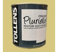 Tollens Peinture acrylique multi-usages 'Couleur Plurielle' satin Inattendue 0,5 L